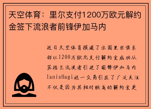 天空体育：里尔支付1200万欧元解约金签下流浪者前锋伊加马内