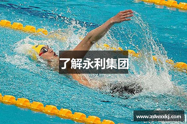 了解永利集团